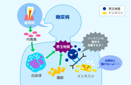 歯とお口のことなら何でもわかるテーマパーク8020