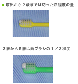 フッ化物の適正量