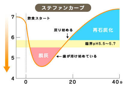 ステファンカーブってなに？